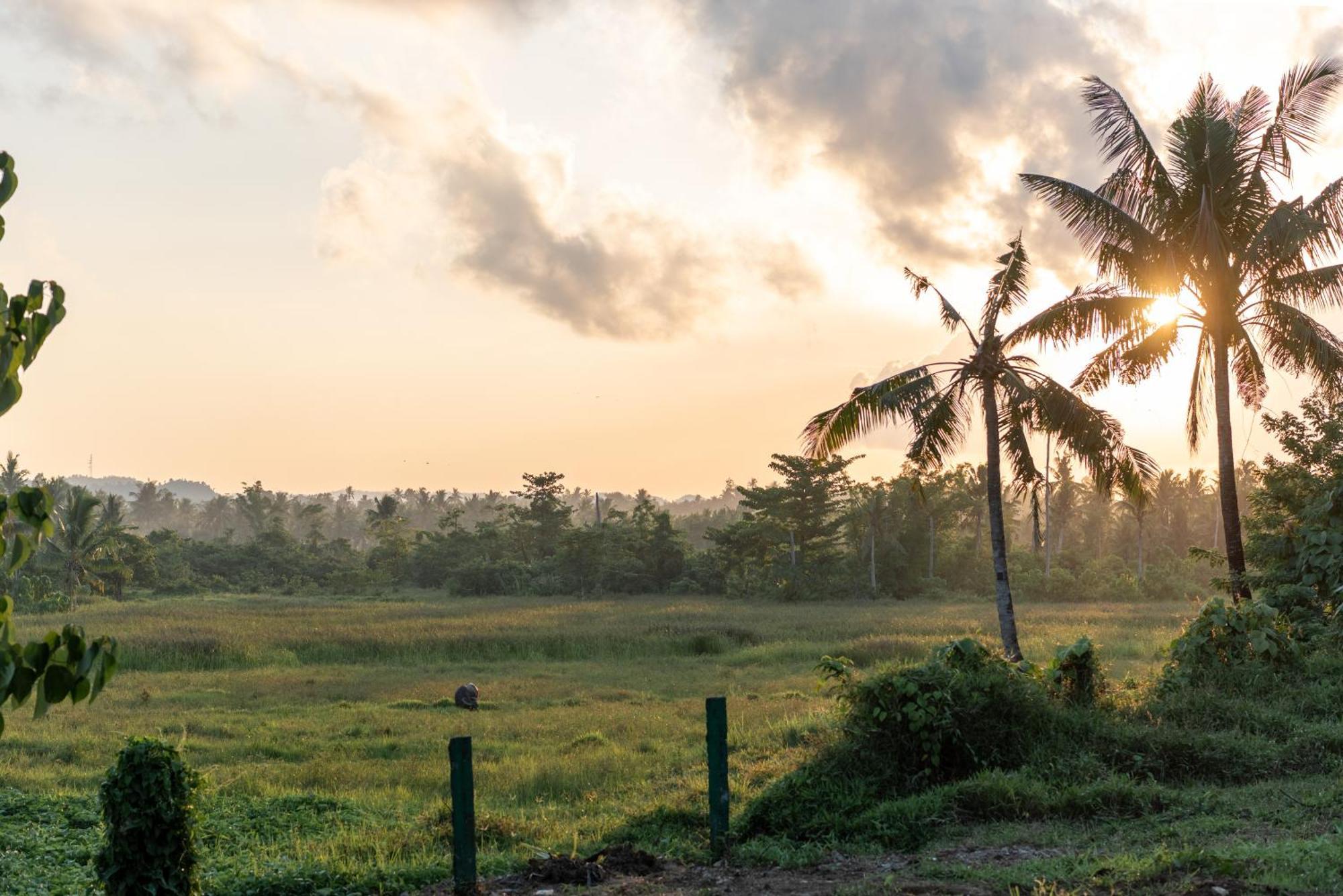 The Hillside Resort Siargao General Luna  Exteriör bild