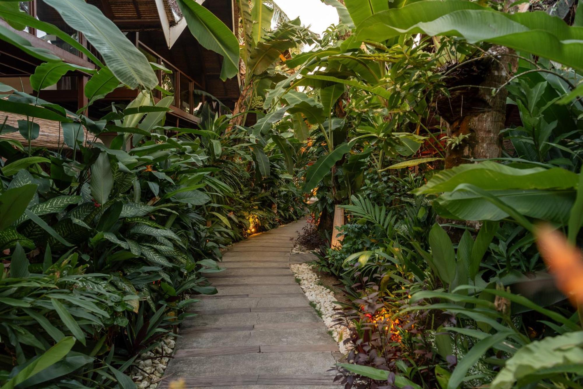 The Hillside Resort Siargao General Luna  Exteriör bild