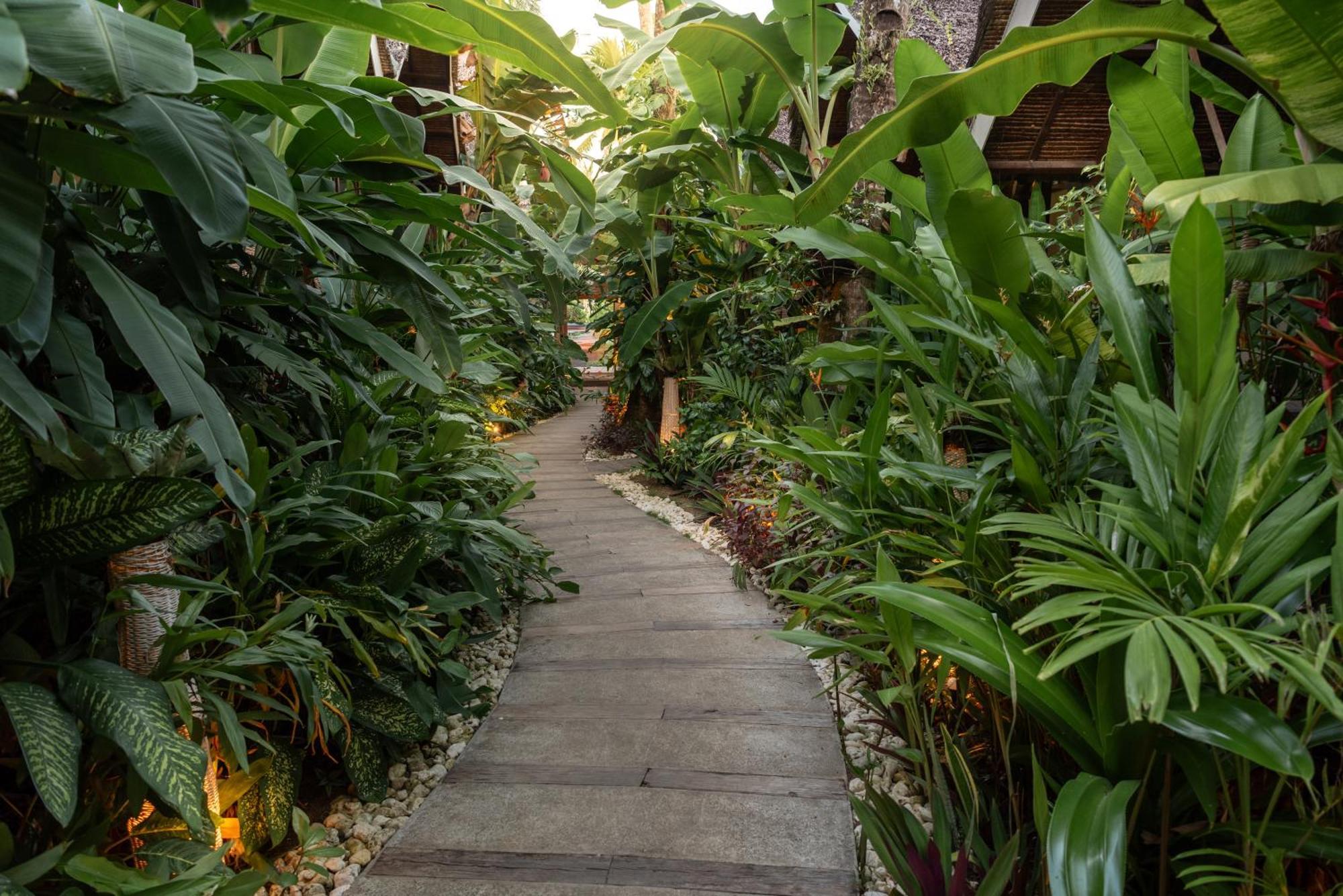 The Hillside Resort Siargao General Luna  Exteriör bild